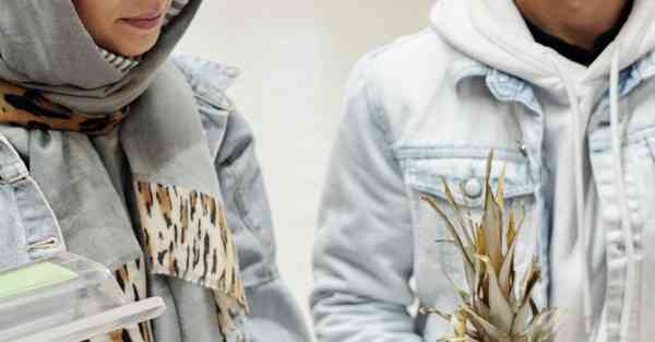 流量明星大数据：了解并应用数字世界的新帝国