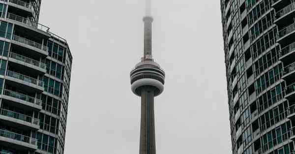 拉米机器人和人工智能，拉米机器人和人工智能的区别