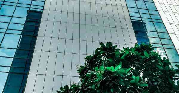 牧场饲喂智能机器人 自动牧场