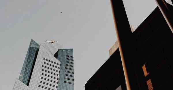 流量明星大数据：了解并应用数字世界的新帝国