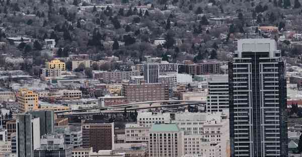中业智能机器人 中业智能机器人招聘