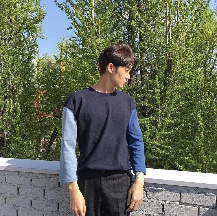 田蕊枝苇