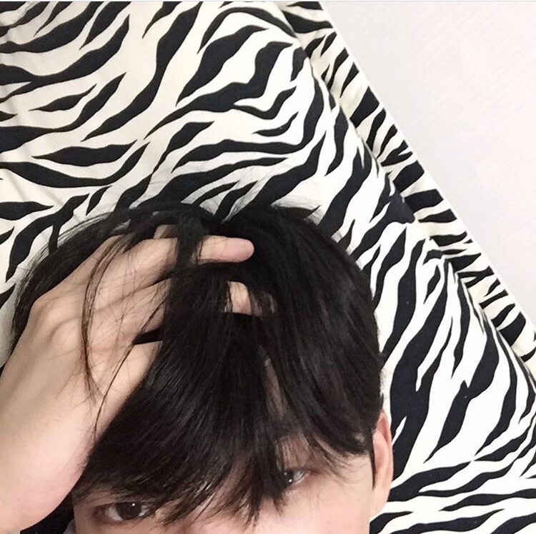 龙佳宜克