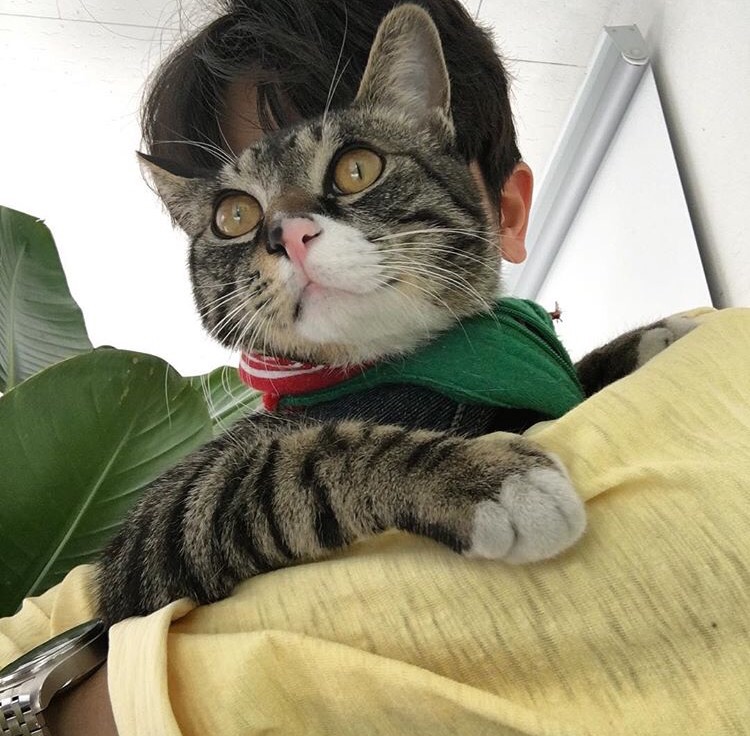 封勇雁珠