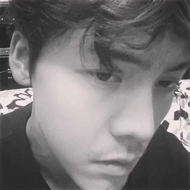 晏苑维清