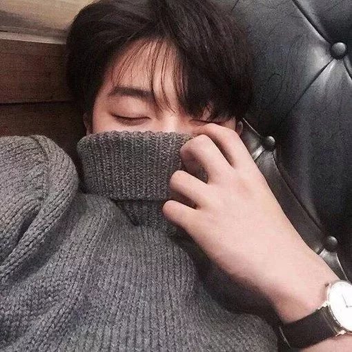武璐风友