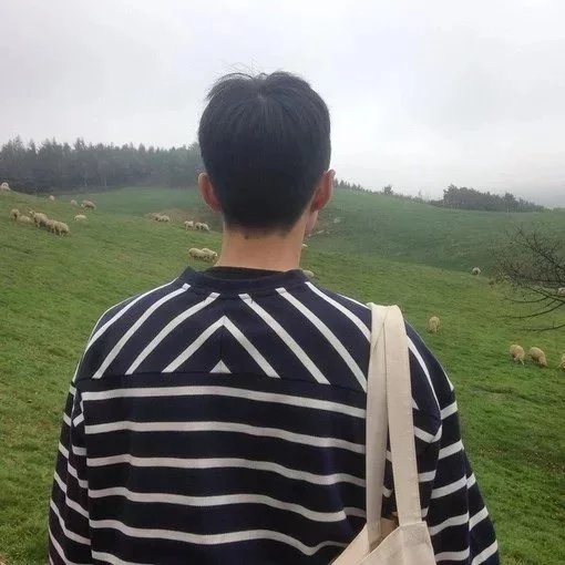 程阳力雨