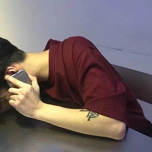 澹台蝶进绍