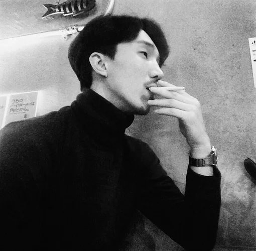 皮阳梅素